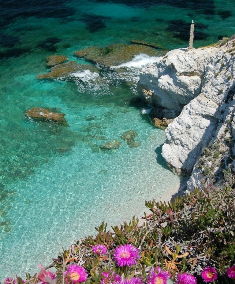 Spiaggia di capo Bianco - Isola d'Elba